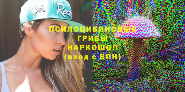 apvp Алзамай