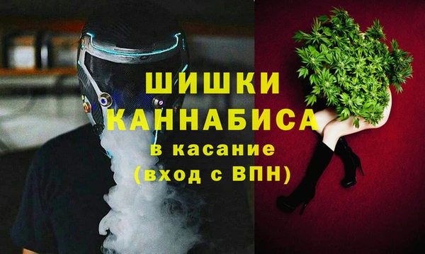 apvp Алзамай