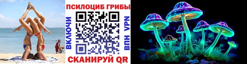 Галлюциногенные грибы Cubensis  Куровское 
